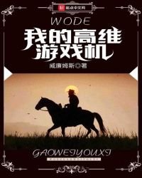 我的高維遊戲機